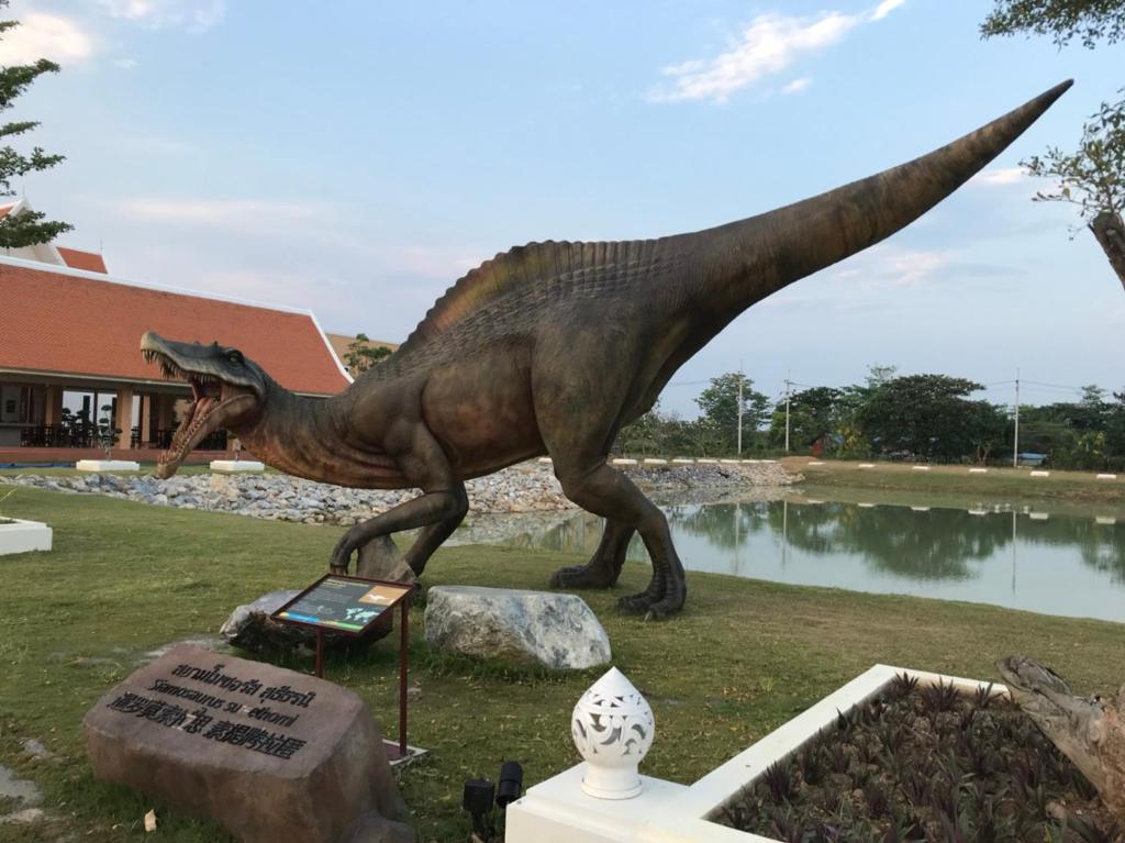 Příroda nedaleko hotelu