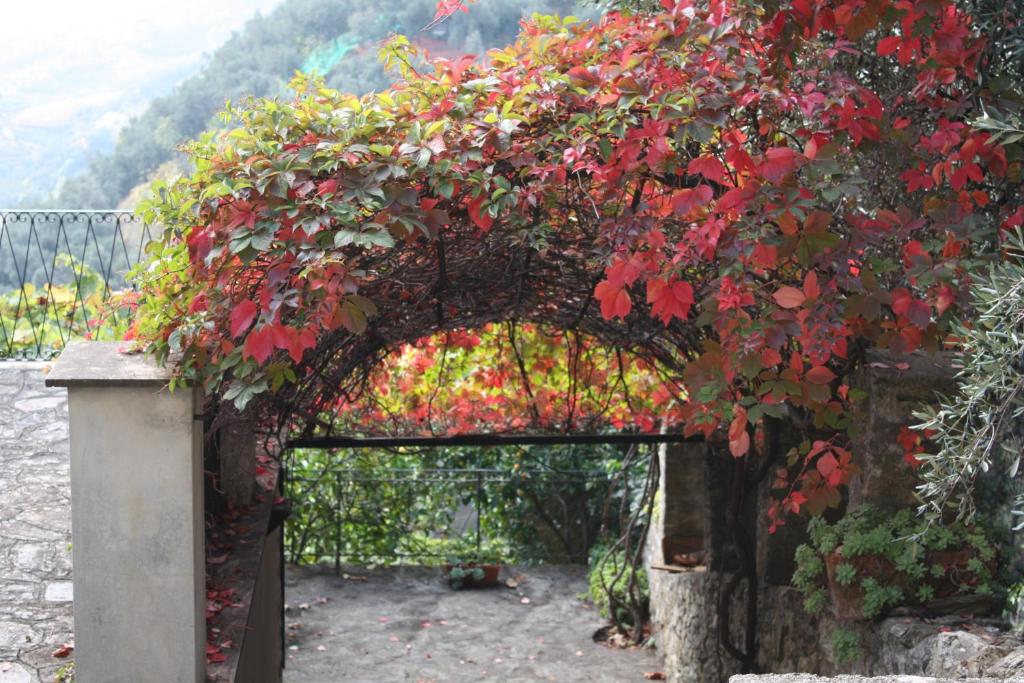 a gate with a bunch of red flowers at L'Antico Borgo B&B in Levanto