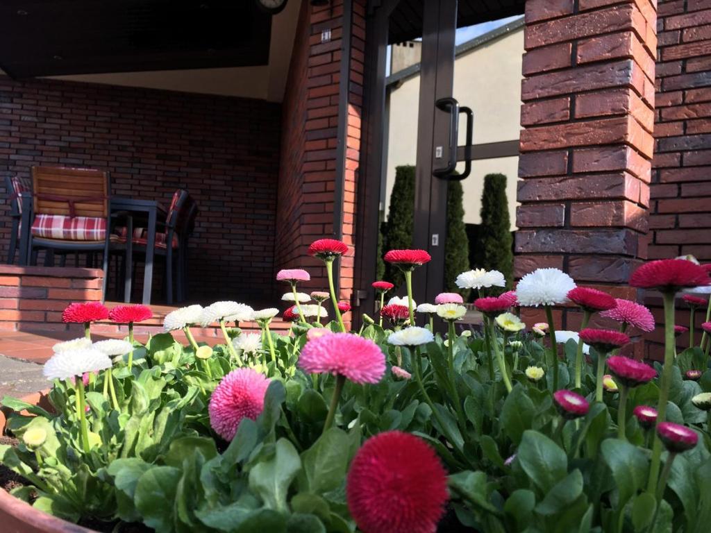Apartamenty AP 21 - Housity