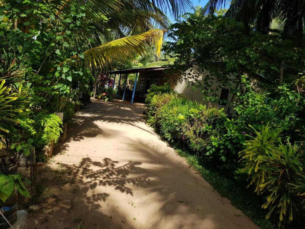un camino de tierra frente a un edificio con árboles en Nilaveli Beach Rooms, en Nilaveli