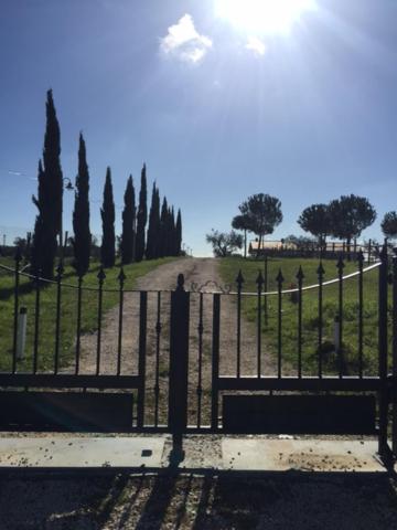 a gate in a park with trees and a dirt road at Agriturismo Casale San Benedetto in Ceri