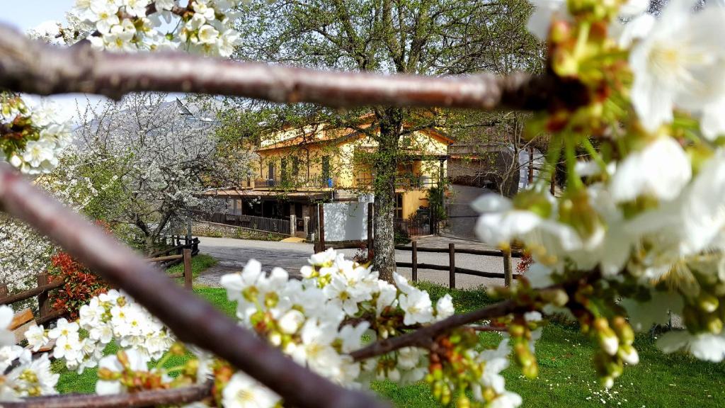Zahrada ubytování Agriturismo Aria Fina