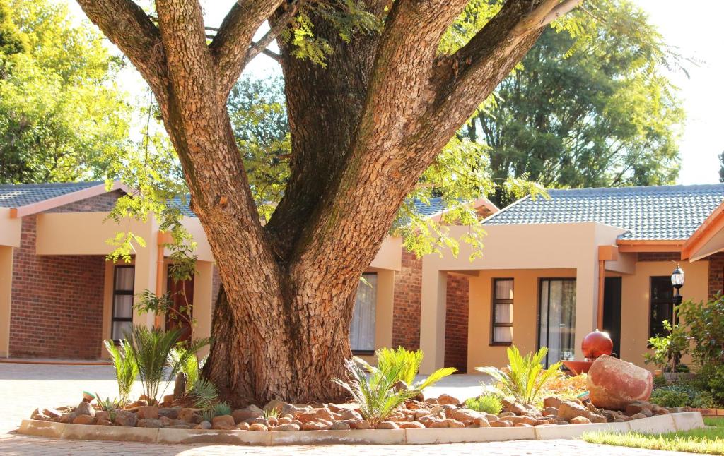 a large tree in front of a building at New Haven Guest House (Pty) Ltd in Newcastle