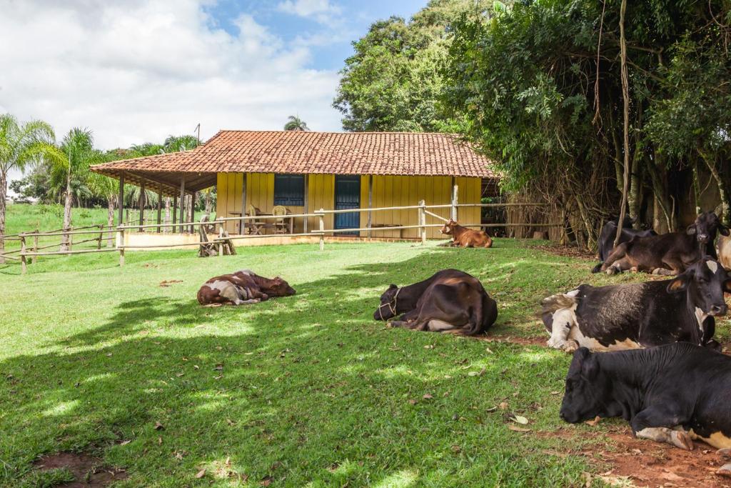 Hotel Fazenda Igarapés