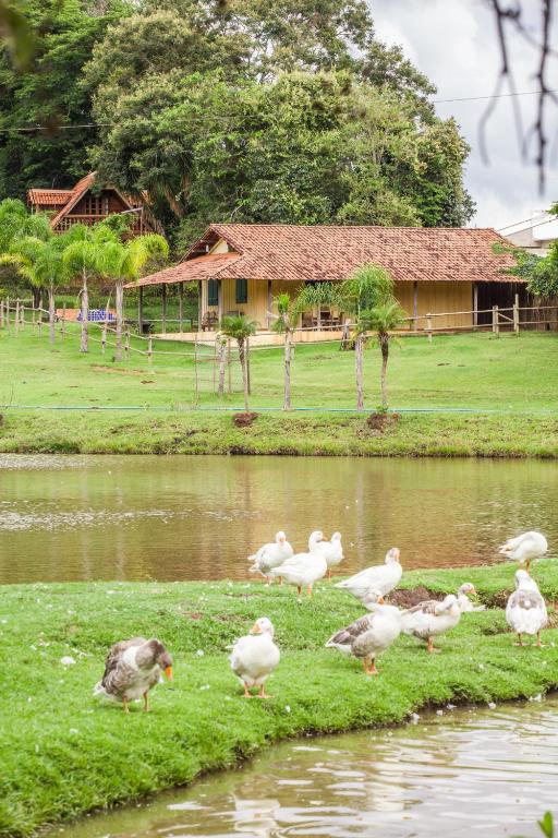  Hotel Fazenda Igarapés