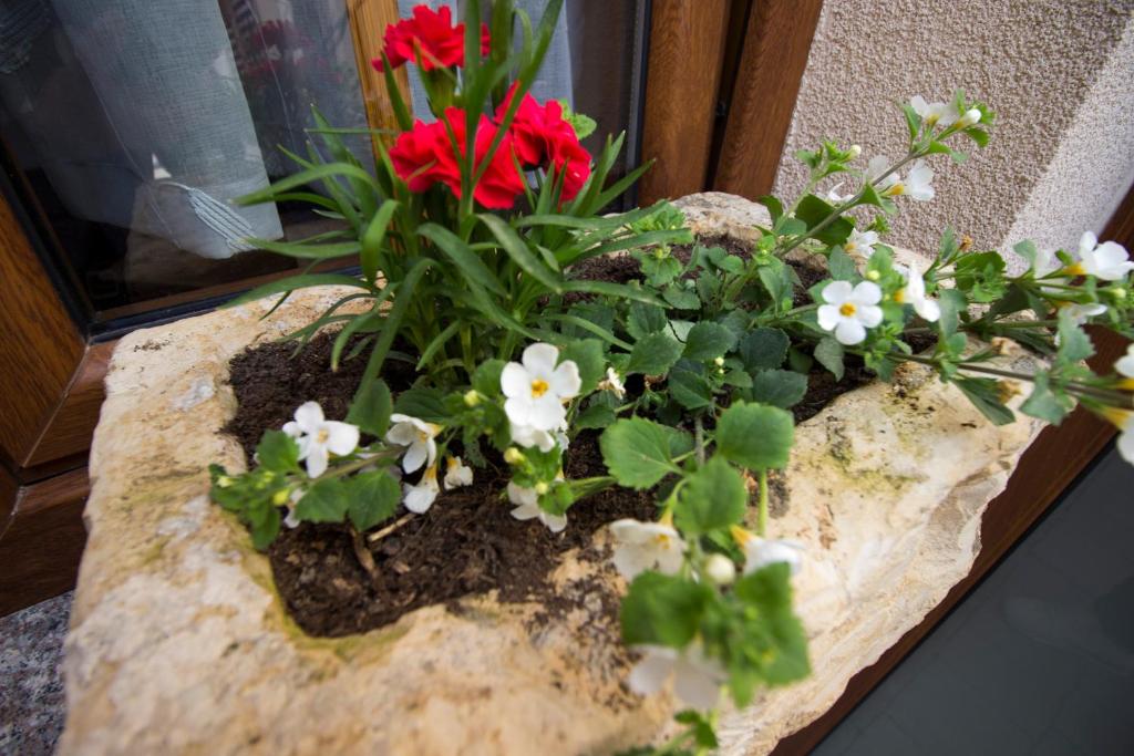 Zahrada ubytování Villa Divani