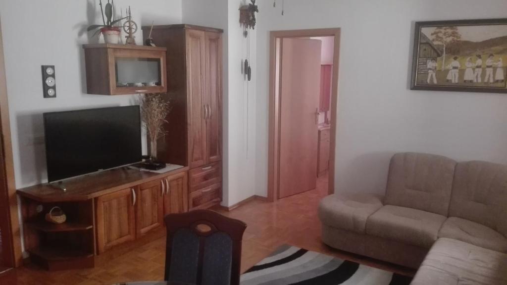 a living room with a couch and a flat screen tv at Apartma Tim Mušič in Črnomelj