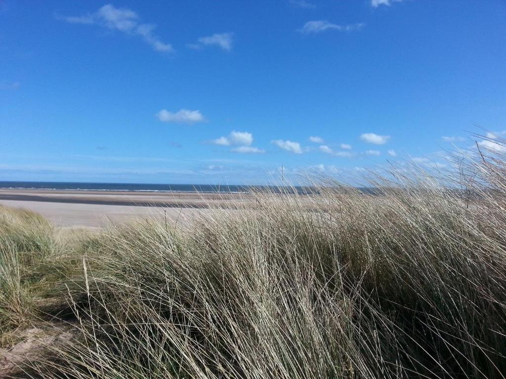 ein Feld mit hohem Gras neben einem Strand in der Unterkunft Estuary View Caravans in Alnmouth