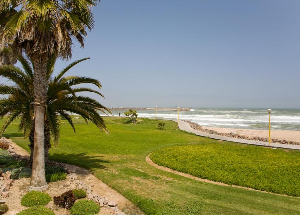 uma palmeira sentada ao lado de uma praia em An Der Mole Apartment em Swakopmund