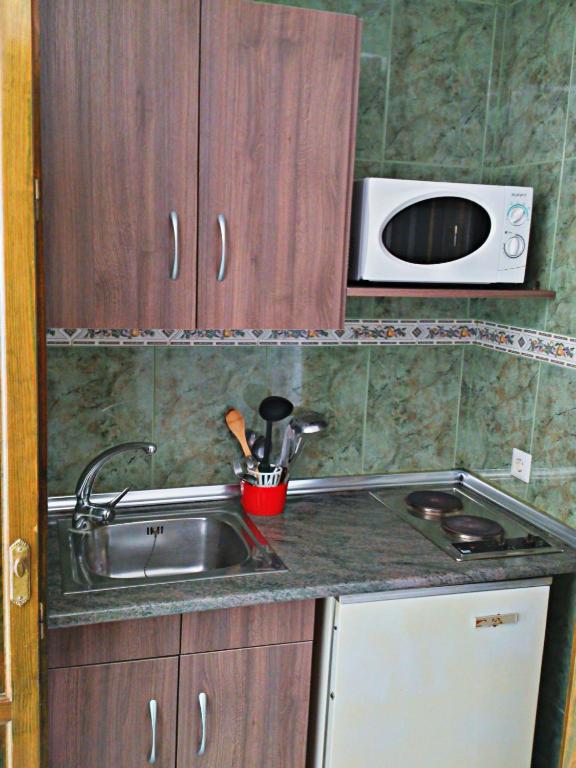 Kuchyň nebo kuchyňský kout v ubytování Apartamentos Balcón de Maro