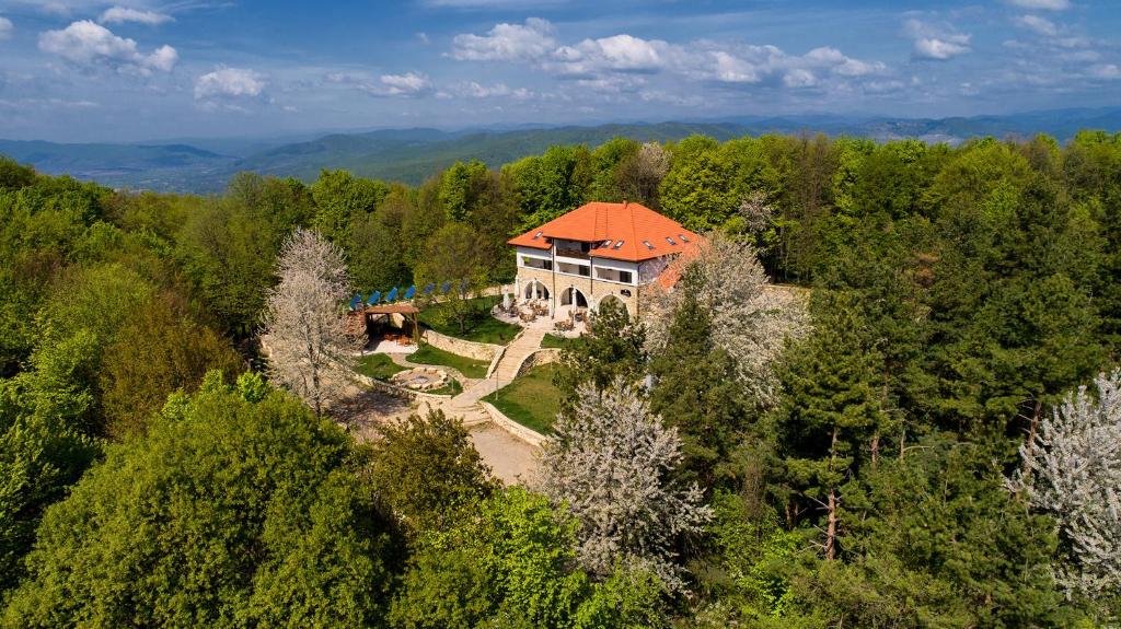 una vista aérea de una casa con techo naranja en Cetatuia, en Măgura