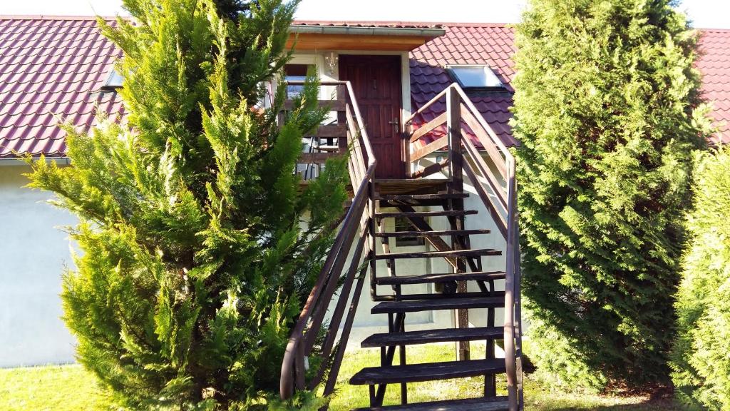 Vonkajšia záhrada v ubytovaní Agroturystyka Pod Klonem
