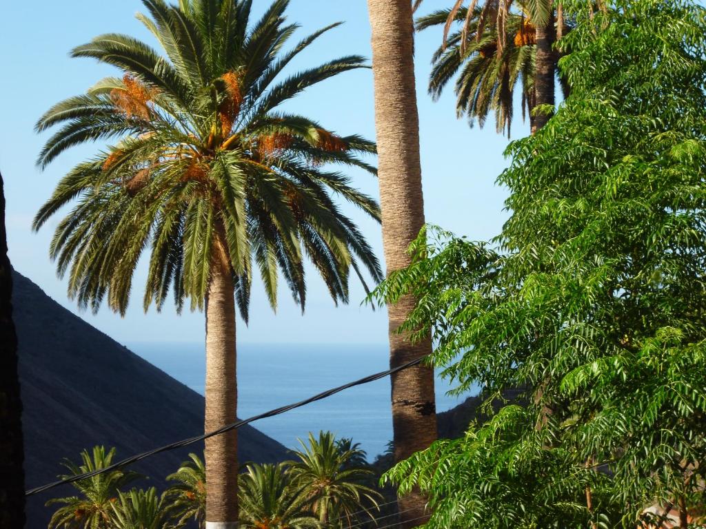 two palm trees with the ocean in the background at casarno pequena el guro in Calera