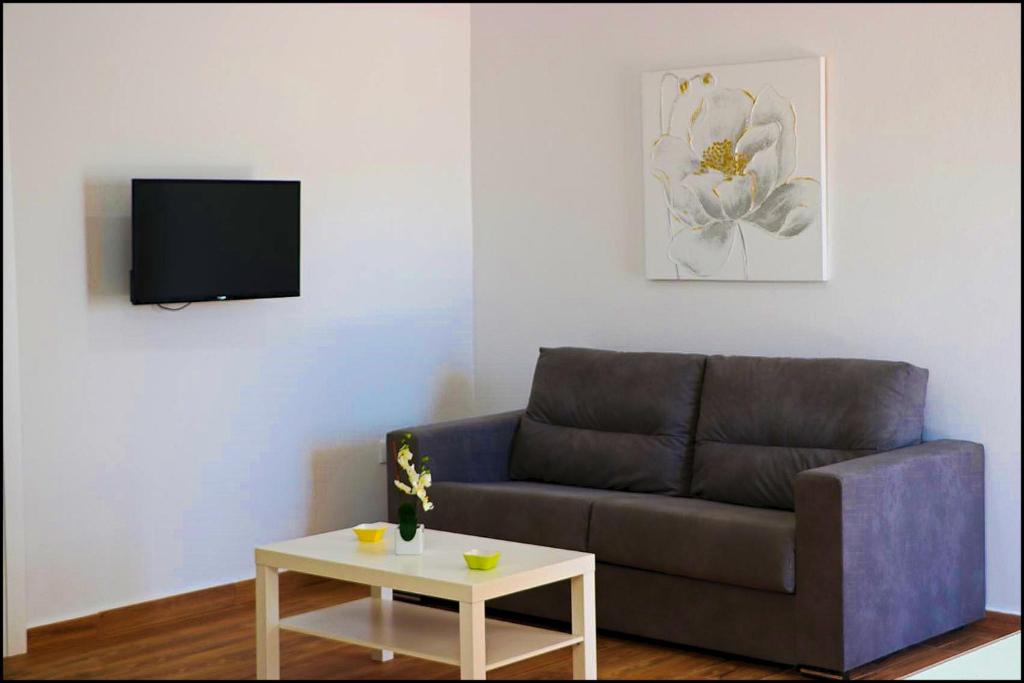 A television and/or entertainment centre at Casa Rural Zara II