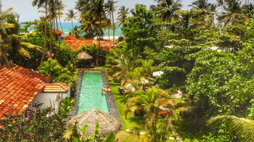 - une vue aérienne sur un complexe avec une piscine dans l'établissement Turtle Eco Beach, à Matara