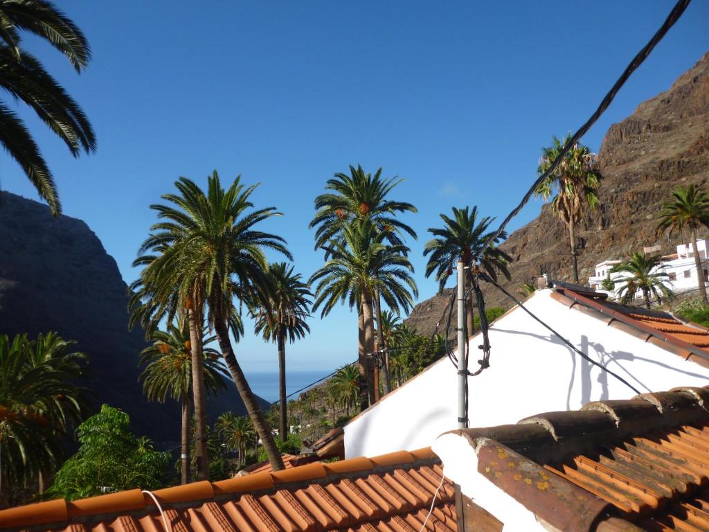 a view from the roof of a house with palm trees at casarno grande el guro in Calera