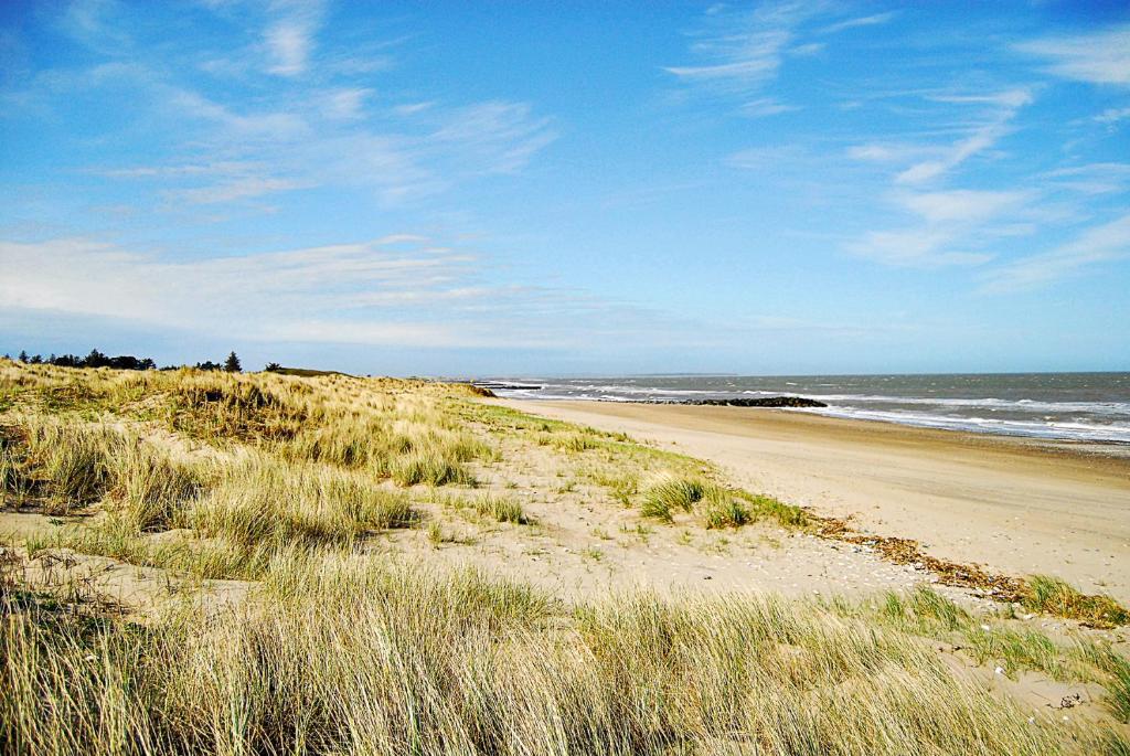 una spiaggia sabbiosa con l'oceano sullo sfondo di Coast Rosslare Strand a Rosslare