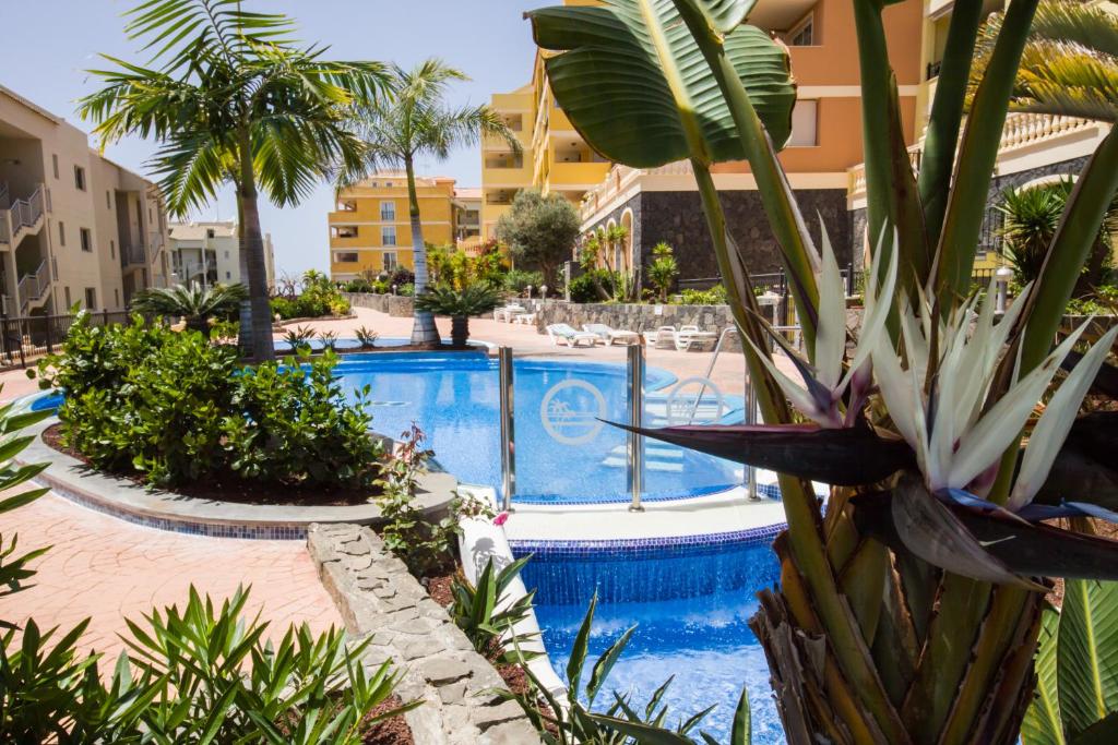 a swimming pool with palm trees and buildings at A Home From Home in Palm-mar