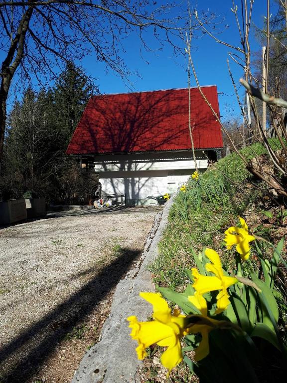 Zahrada ubytování House Franja
