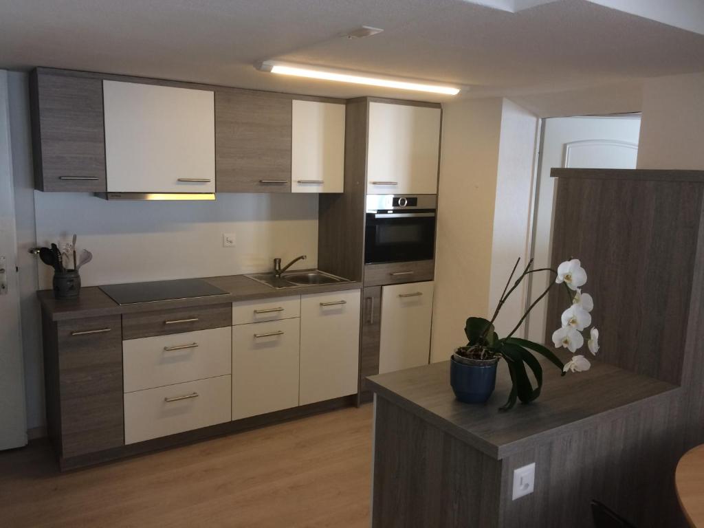 Kuchyň nebo kuchyňský kout v ubytování Chalet Sunstar