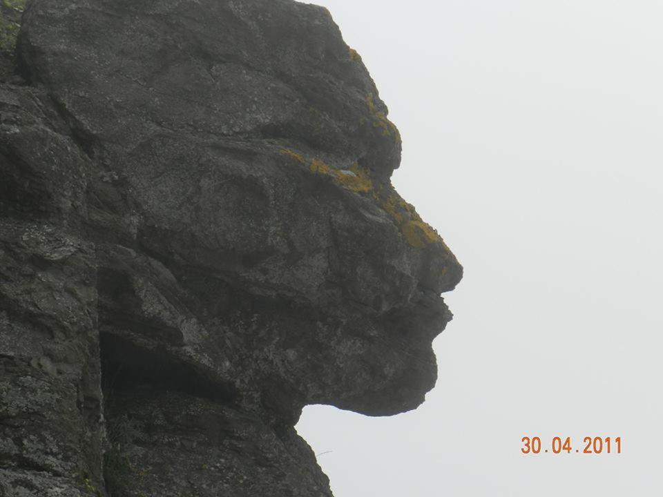 a close up of a rock with a face on it at Apart Hotel Apolonia Palace in Sinemorets