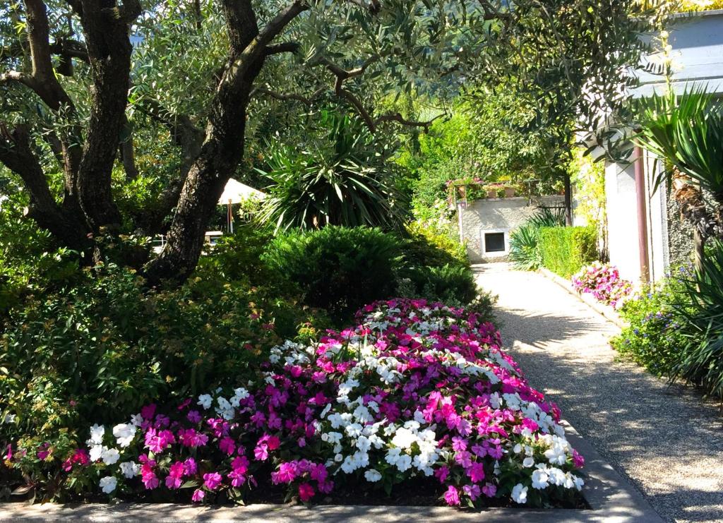 Zahrada ubytování IRIS 1 lago di Como