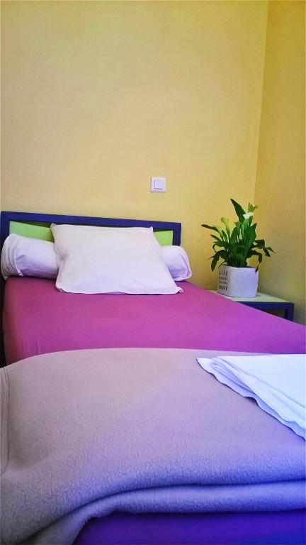 Domaine de Surgy - Single Room
