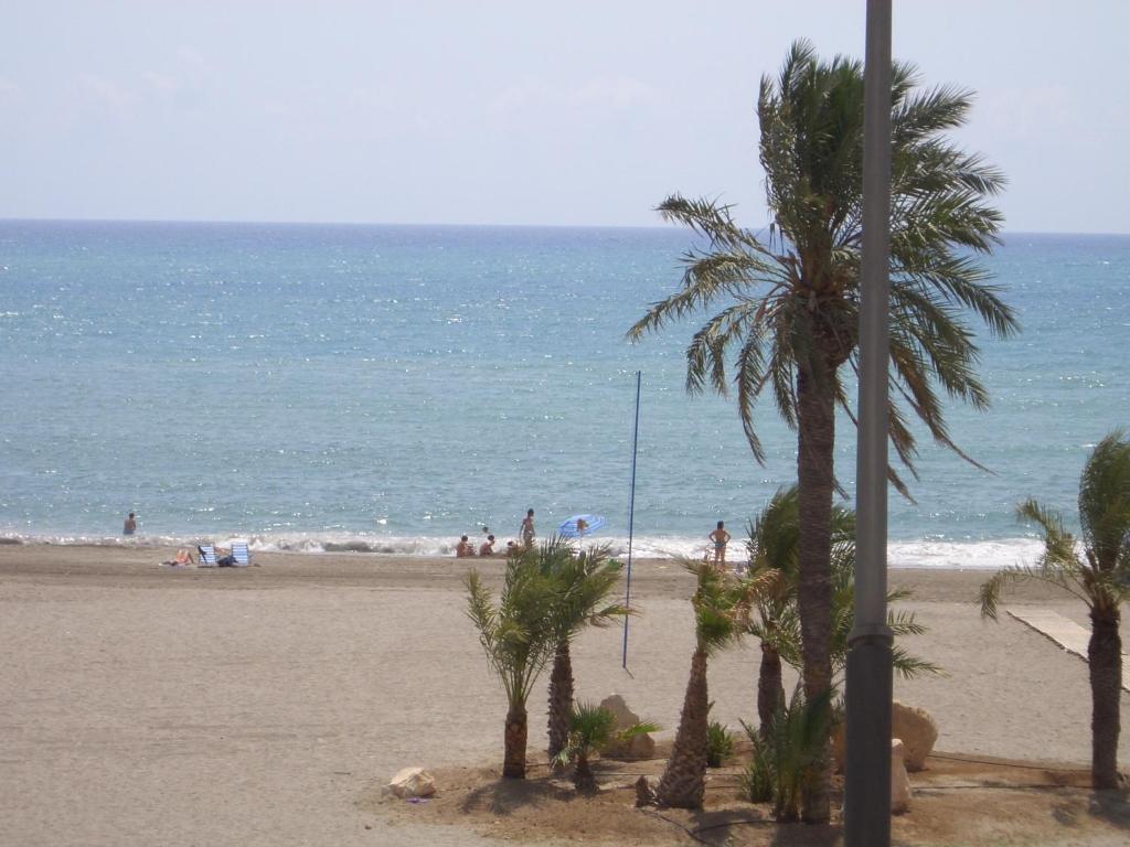 カルボネラスにあるPrimerísima línea de playaのヤシの木と海のビーチ