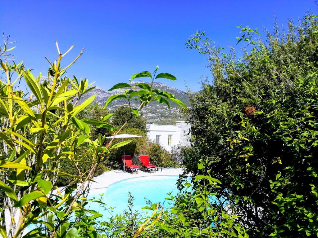 Villa Nice Côte d'Azur piscine privée rez de chaussée - Holiday Home