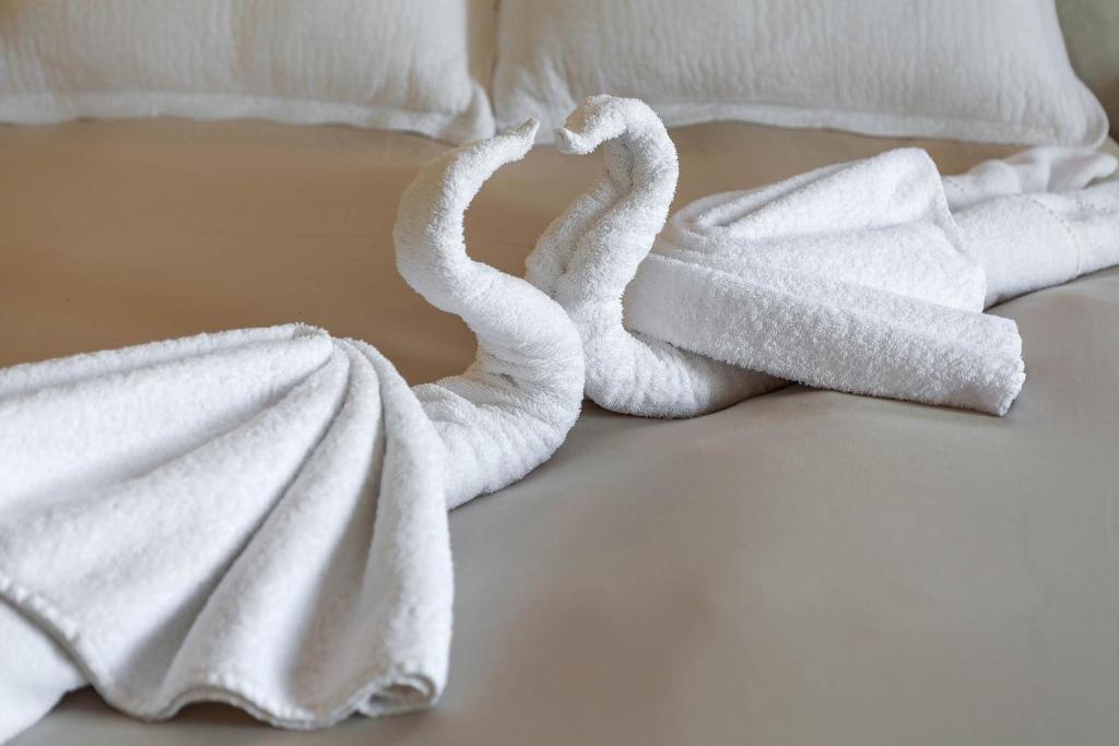 Casa Leone Hotel - 15