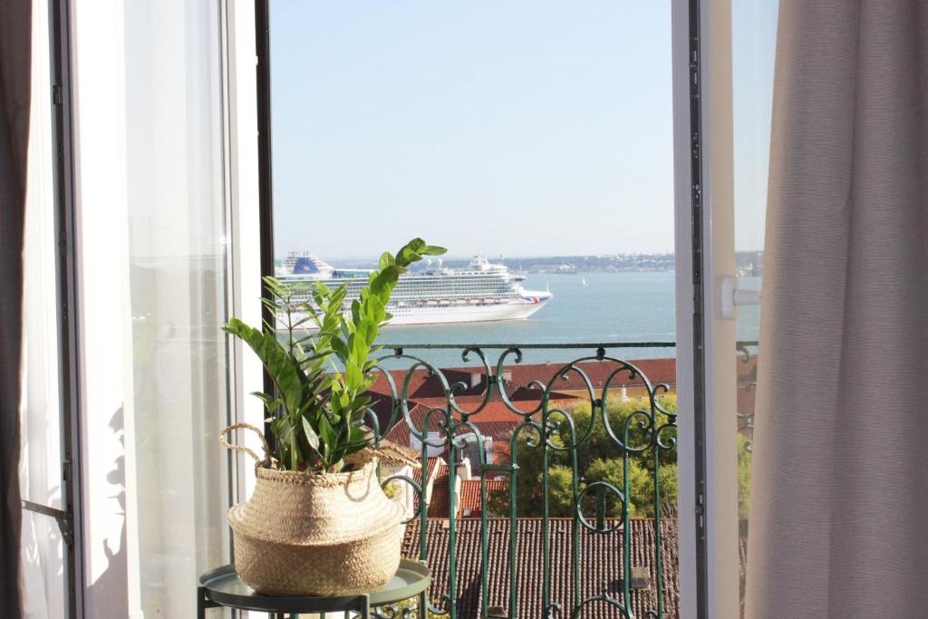 a potted plant on a balcony with a cruise ship in the water at Casa da Varanda Simpática in Lisbon