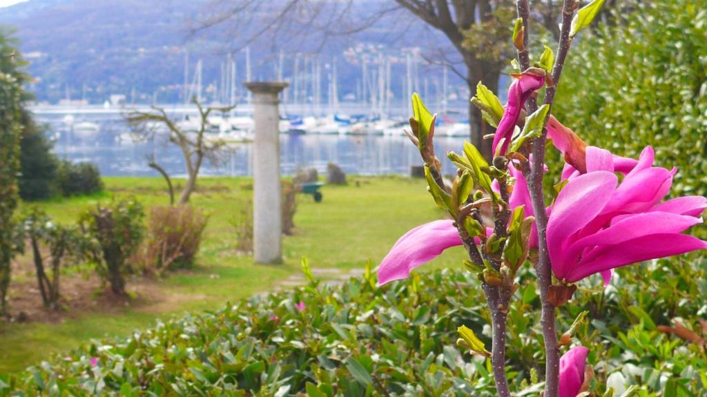 a pink flower in a park with a view of the water at The Gulf Villa - Lago Maggiore in  Monvalle 