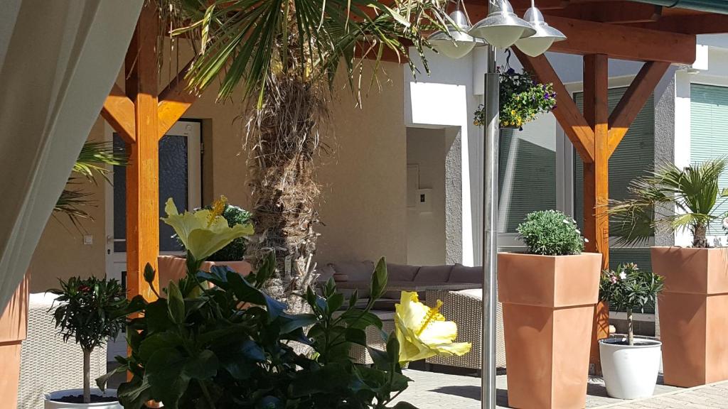 Zahrada ubytování Ferienhaus Apetlon