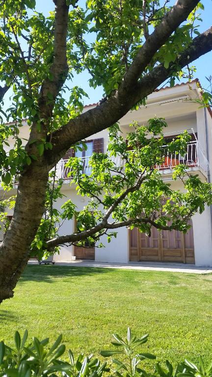 um edifício branco com uma árvore em frente em Apartments Vrisika-family apartment em Makarska