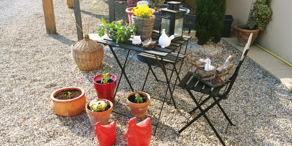 Patio nebo venkovní prostory v ubytování Gîte au centre de l'alsace