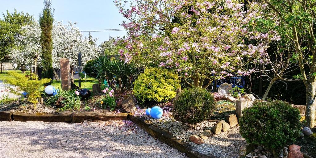Zahrada ubytování Gîte au centre de l'alsace