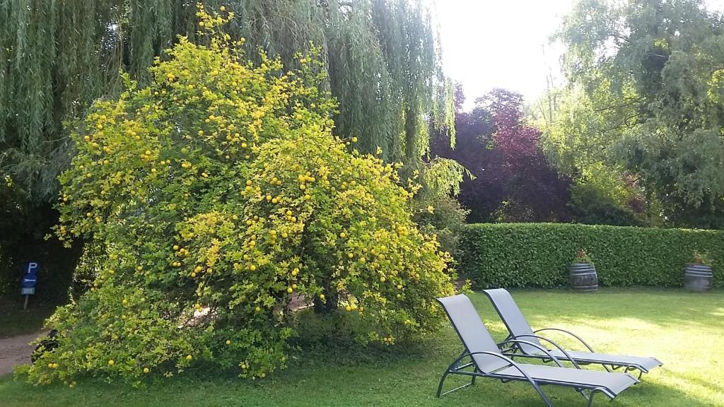 Zahrada ubytování Hostellerie Sarrasine, Mâcon Est - Teritoria