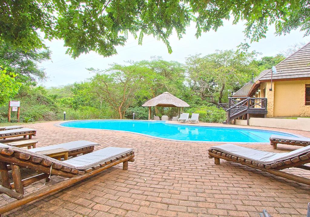 a swimming pool with two benches next to a house at Kruger Adventure Lodge in Hazyview