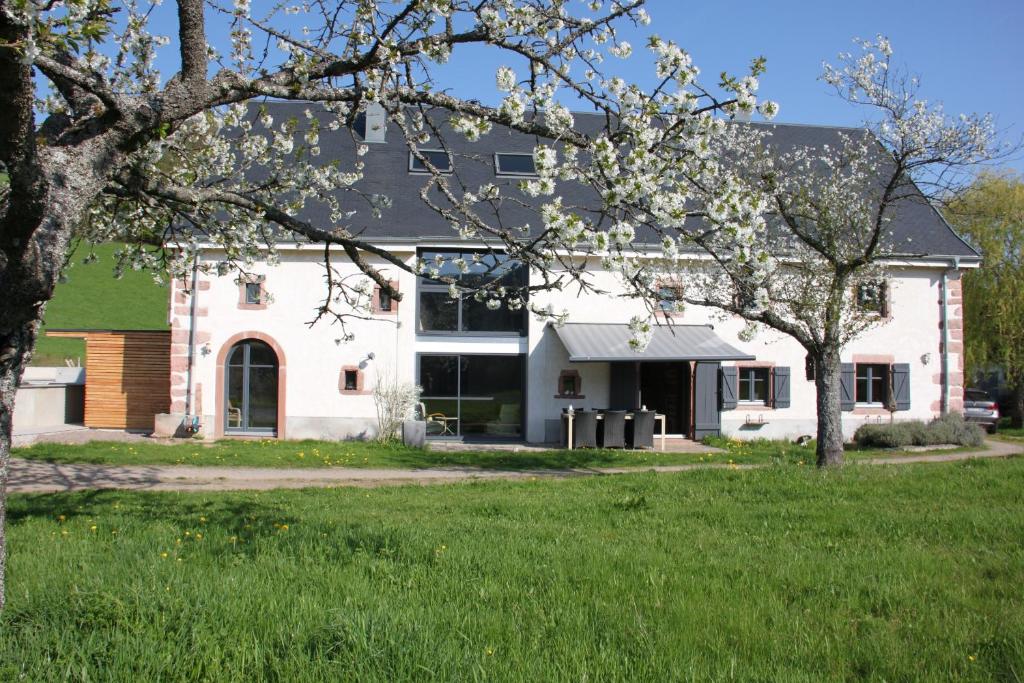 uma casa branca com árvores em frente em La Colline Du Baa - Maison d'hôtes d'exception em Lapoutroie