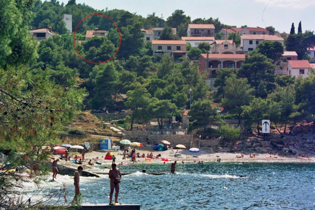 Příroda nedaleko apartmánu
