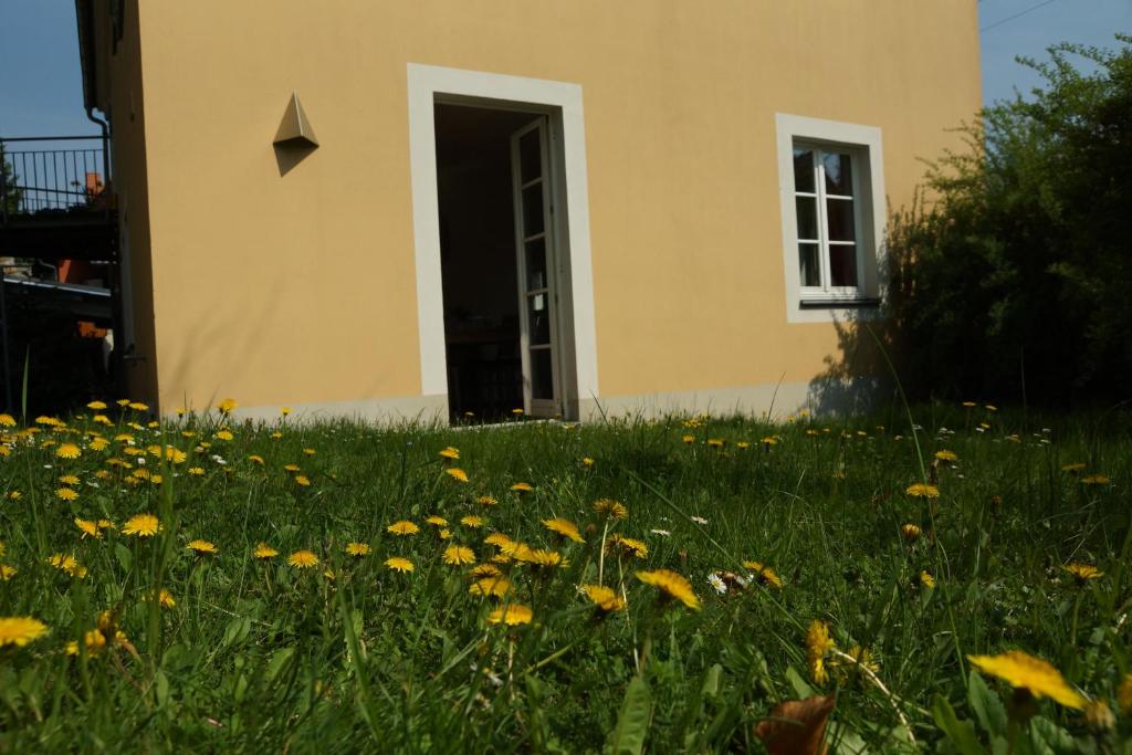 Ferienwohnung am Spreeradweg in Bautzen - 8