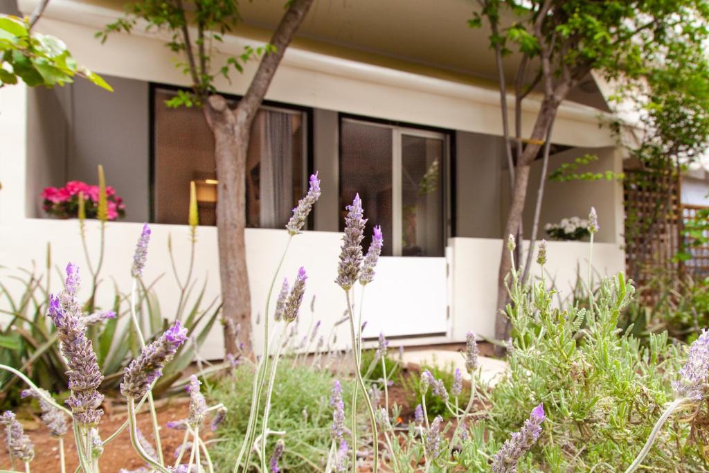 Vonkajšia záhrada v ubytovaní Sweet Suite Flora in Vouliagmeni