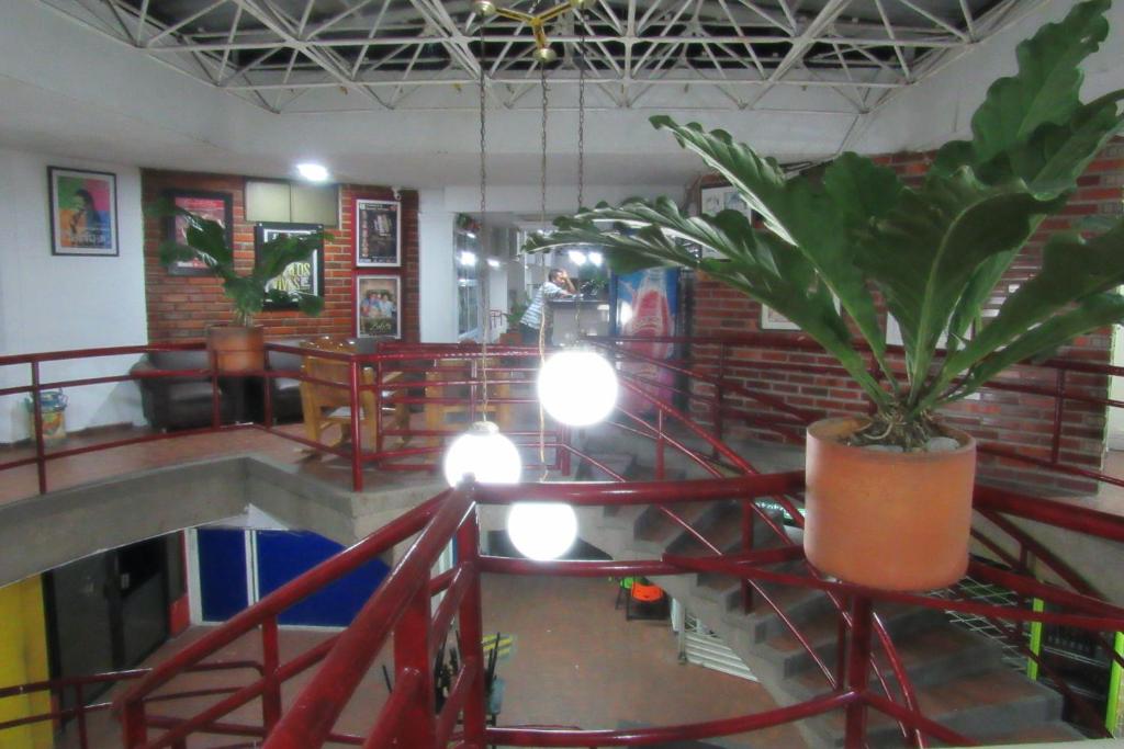 Fotografie z fotogalerie ubytování Hotel Nuevo Tio v destinaci Valledupar