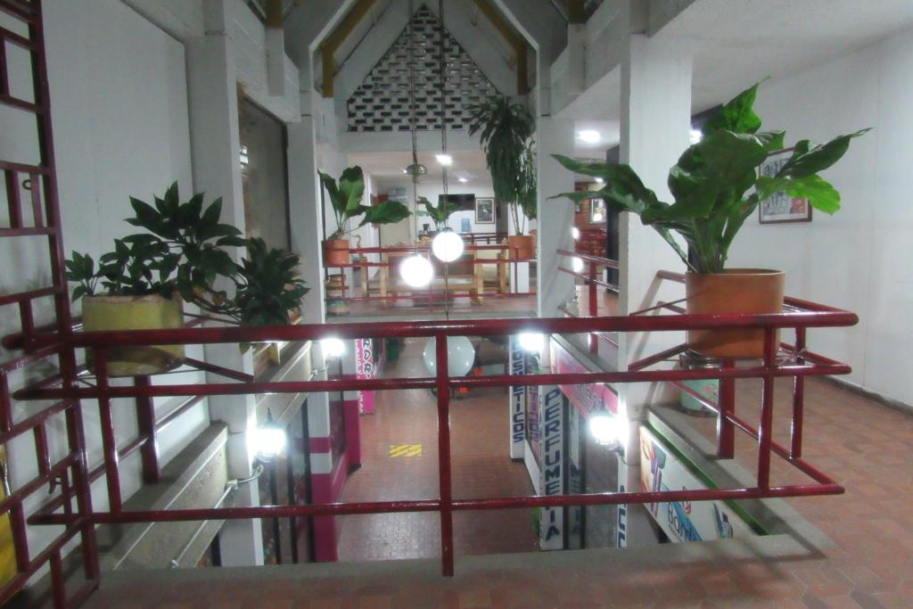 Restaurace v ubytování Hotel Nuevo Tio