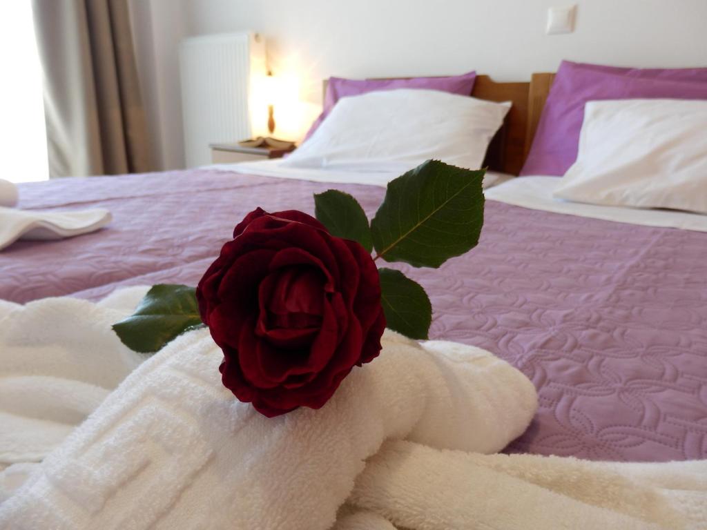 een rode roos op een bed bij Charisma Apartment in Plataniás