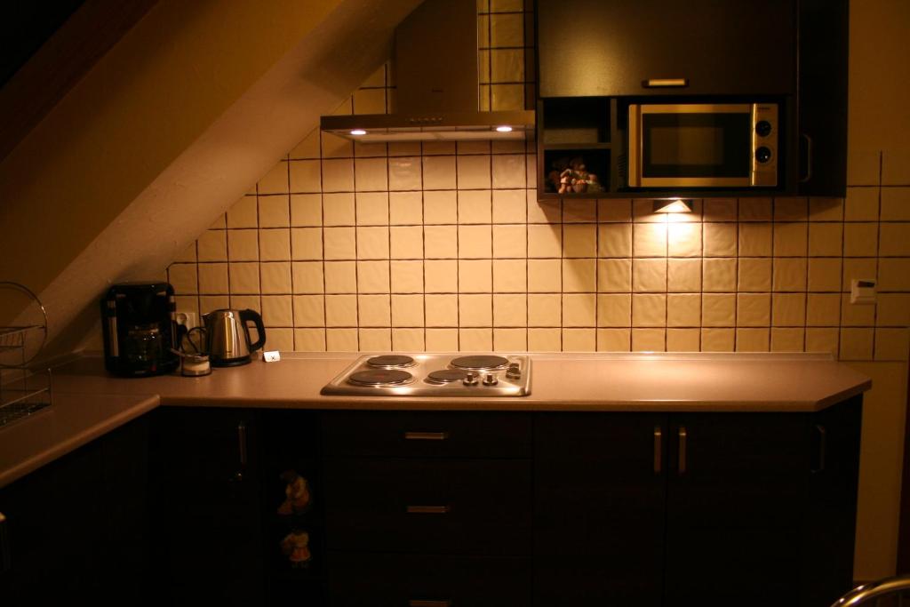 Kuchyň nebo kuchyňský kout v ubytování Apartamenty Starka