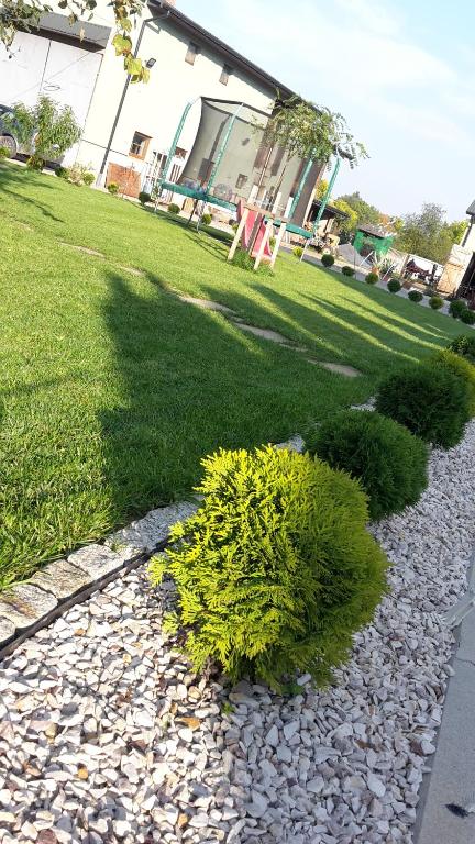 Vonkajšia záhrada v ubytovaní Agroturystyka u Robka