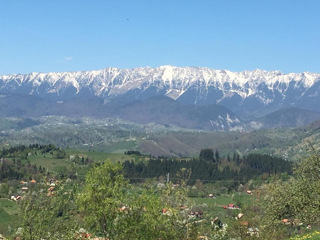 ブランにあるCasa de la Branの雪山連峰