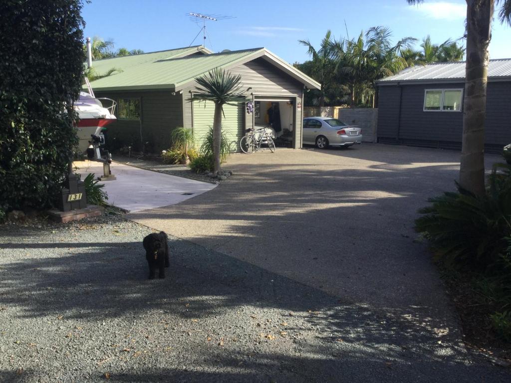 a black cat standing in the driveway of a house at The Palms at Point Wells in Big Omaha