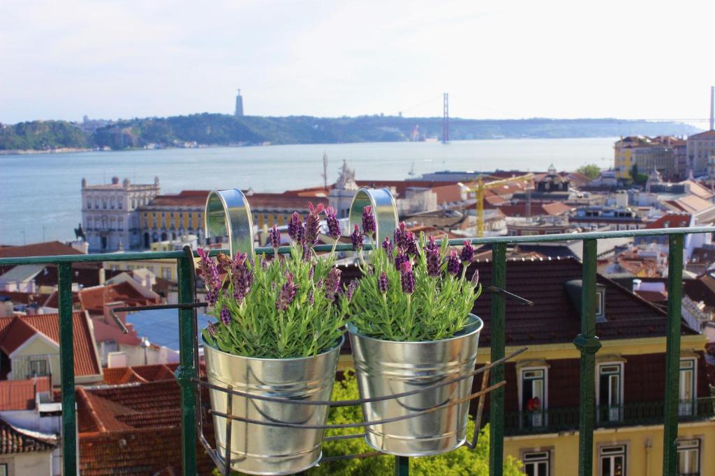 twee potplanten op een balkon met uitzicht op een stad bij Casa Miratejo - Downtown in Lissabon